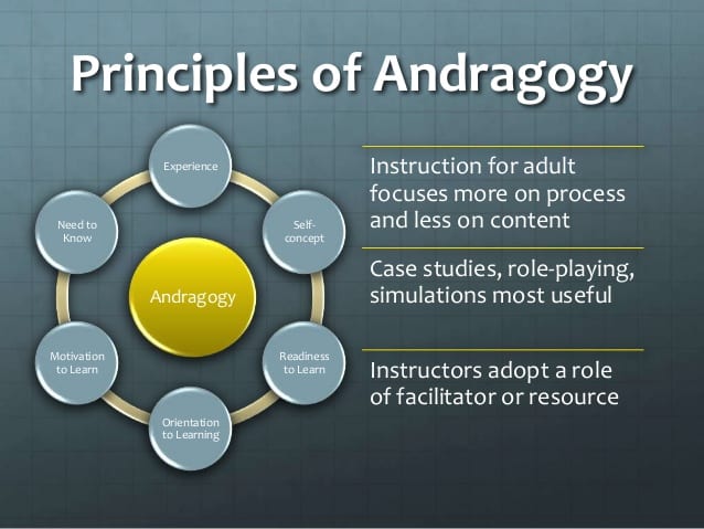 The principles of andragogy in a diagram